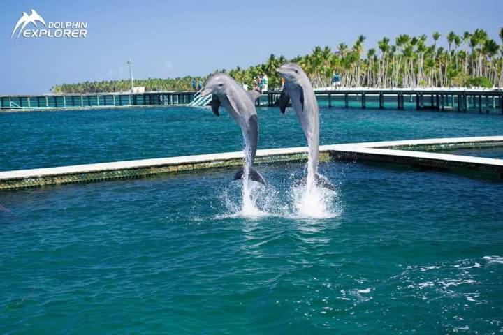 Caribbean And Sun Punta Cana Zewnętrze zdjęcie